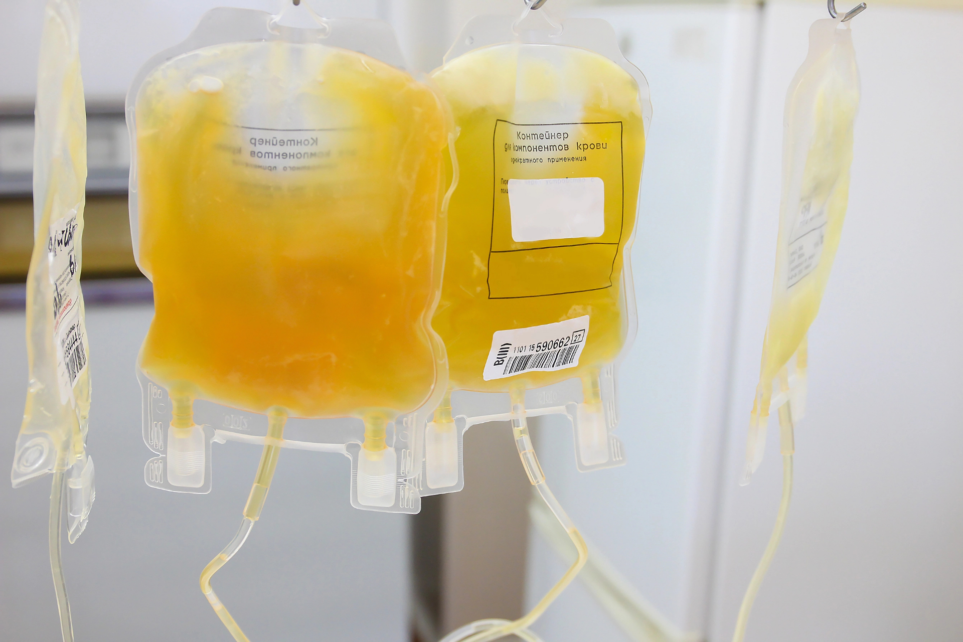 Platelet storage Mini-Bags hanging in a blood center